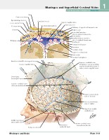 Frank H. Netter, MD - Atlas of Human Anatomy (6th ed ) 2014, page 120